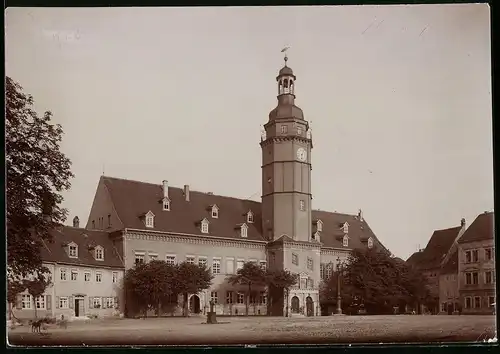 Fotografie Brück & Sohn Meissen, Ansicht Pegau, Rathaus mit Vorplatz