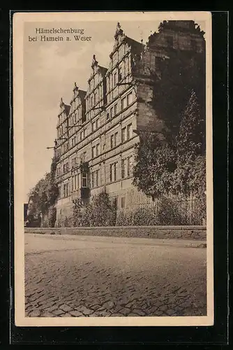 AK Hämelschenburg, Strassenpartie vor dem Schloss