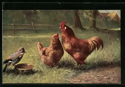 Künstler-AK August Müller - München: Hahn und Henne am Napf