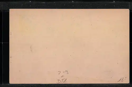 AK Leipzig, Private Stadtpost, Privat-Post