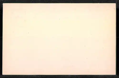 AK Barmen-Elberfeld, Private Stadtpost Courier