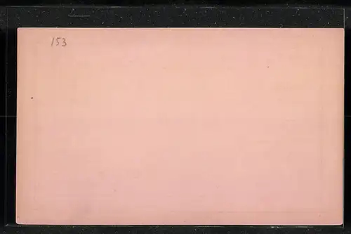 AK Berlin, Private Stadtpost Neue Berliner Omnibus- und Packetfahrt AG