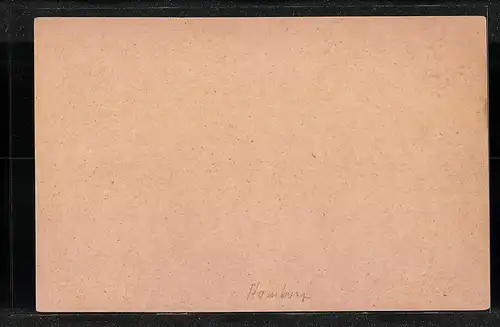 AK Hamburg, Private Stadtpost Hammonia