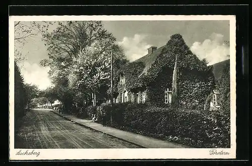 AK Ascheberg, Strasse an der Försterei