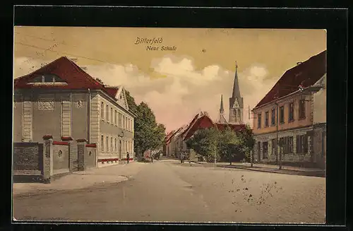 AK Bitterfeld, Neue Schule