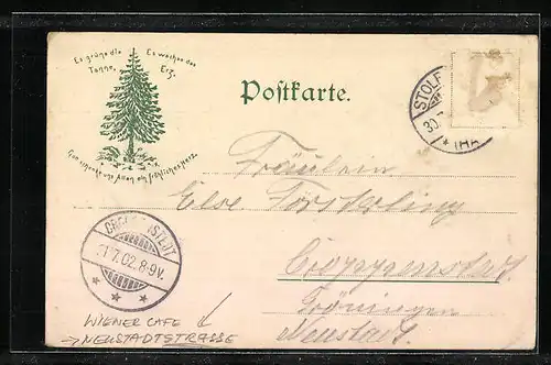 AK Stolberg / Harz, Wiener Cafe in der Neustadtstrasse