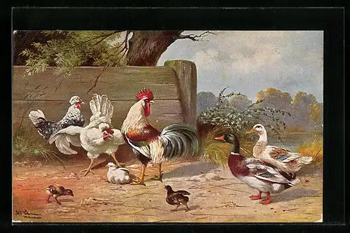 Künstler-AK Alfred Schönian: Hühner und Enten auf einem Hof