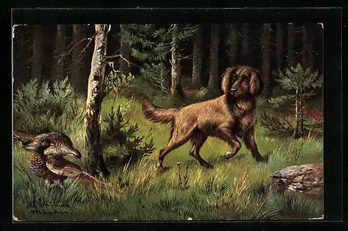 Künstler-AK Alfred Schönian: Hund mit Fasanen im Wald
