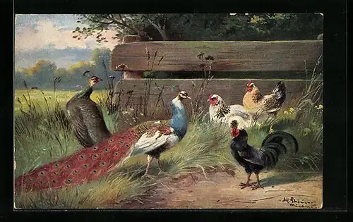 Künstler-AK Alfred Schönian: Hühner und Pfauen auf einer Wiese