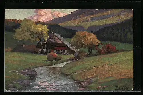 Künstler-AK Fritz Reiss: Bach und Haus im Herbst im Schwarzwald