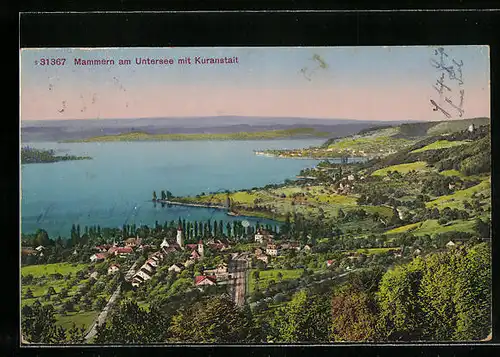 AK Mammern am Untersee, Teilansicht mit Kuranstalt