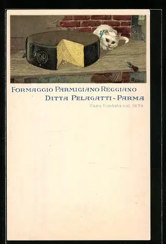Künstler-AK Katze und angeschnittener Laib Parmiggiano Reggiano