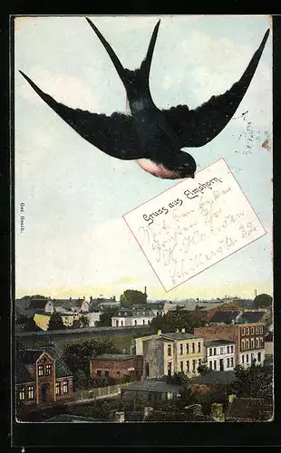 AK Elmshorn, Ortspartie, Schwalbe bringt einen Brief