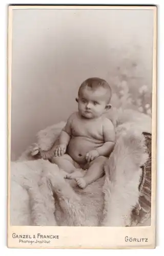 Fotografie Ganzel & Francke, Görlitz, Nacktes Kleinkind sitzt auf einem Fell
