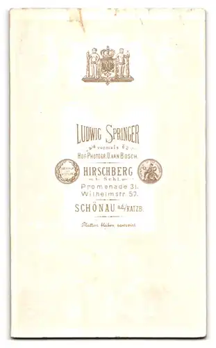 Fotografie Ludwig Springer, Hirschberg i. Schl., Promenade 31, Wilhelmstrasse 57, Ältere Dame im Kleid mit Haube