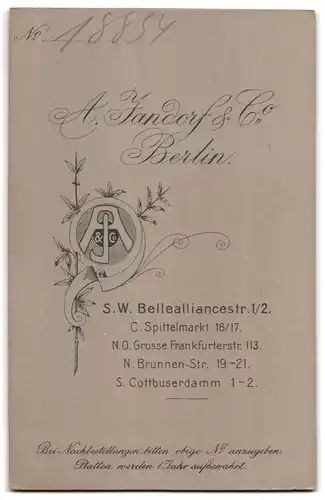 Fotografie A. Jandorf & Co., Berlin, Bellealliancestrasse 1-2, Ältere Dame im Kleid mit Kragenbrosche