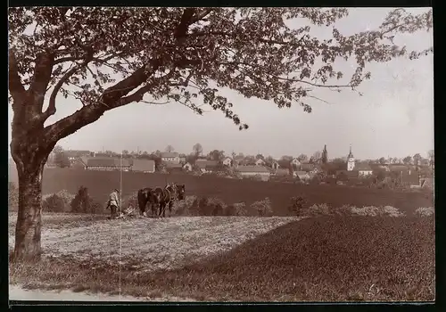 Fotografie Brück & Sohn Meissen, Ansicht Blankenburg / Harz, Blick auf den Grossvater