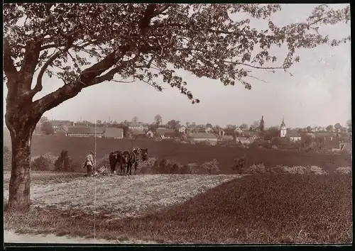 Fotografie Brück & Sohn Meissen, Ansicht Heynitz, Bauer beim Pflügen der Felder mit Blick zum Ort