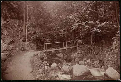 Fotografie Brück & Sohn Meissen, Ansicht Rochsburg, Partie am Eingang zum Brauseloch