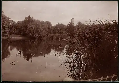 Fotografie Brück & Sohn Meissen, Ansicht Burgstädt i. Sa., Blicka uf den Teich im Stadtpark