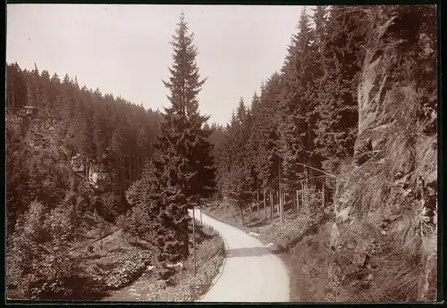 Fotografie Brück & Sohn Meissen, Ansicht Natschungtal, Strasse mit Blick in das Tal