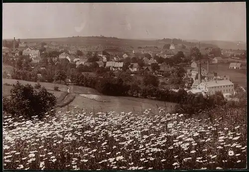 Fotografie Brück & Sohn Meissen, Ansicht Zöblitz / erzg., Blick von der Blumenwiese auf den Ort