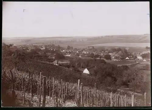 Fotografie Brück & Sohn Meissen, Ansicht Baltavar, Blick von den Weinbergen auf den Ort