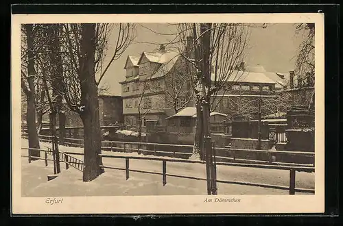 AK Erfurt, Strasse am Dämmchen mit Bäumen im Schnee