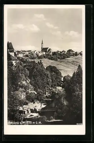 AK Freyung, Teilansicht mit Kirche von Westen