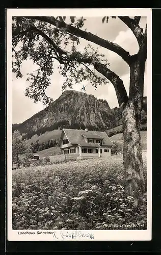 AK Bad-Oberdorf /Allgäuer Alpen, Hotel Landhaus Schneider