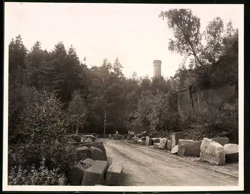 Fotografie Brück & Sohn Meissen, Ansicht Rochlitz, Partie am Steinbrüche auf dem Rochlitzer Berg mit Turm