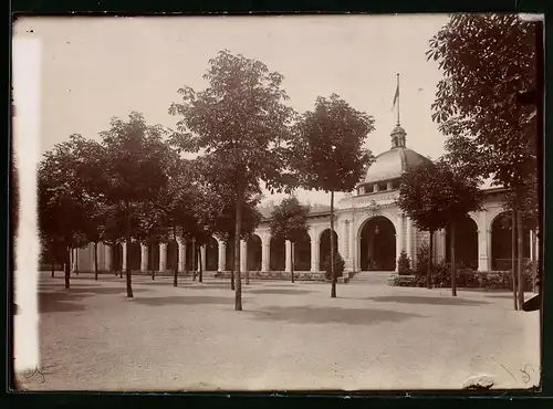 Fotografie Brück & Sohn Meissen, Ansicht Bad Harzburg, Partie an der Trinkhalle und Wandelbahn