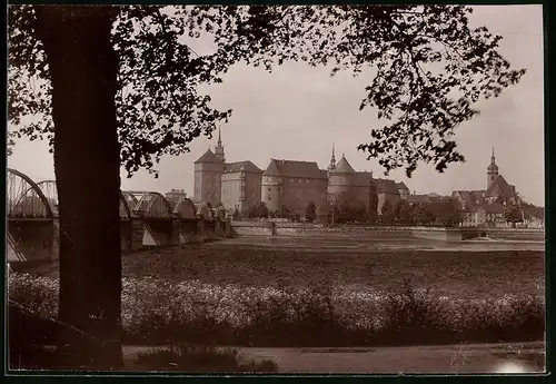 Fotografie Brück & Sohn Meissen, Ansicht Torgau / Elbe, Blick nach dem Schloss Hartenfels mit Elbbrücke