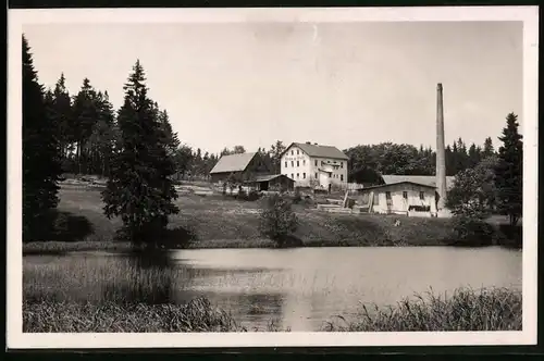 Fotografie Brück & Sohn Meissen, Ansicht Reitzenhain / Erzg., Blick auf die Mühle Neue Welt