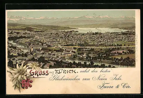 Lithographie Zürich, Totalansicht aus der Vogelschau