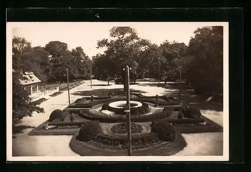 AK St. Kanjiza, Jelena basta