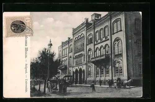 AK Belgrad, Universität