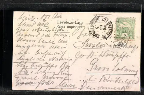 AK Mitrovica, Parkpartie mit Kindern