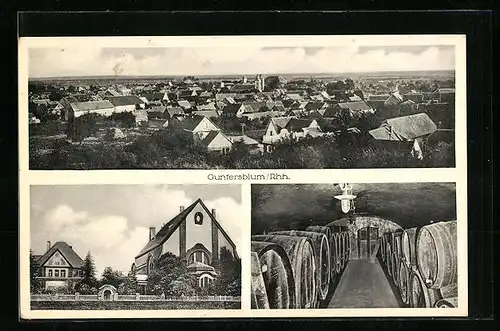 AK Guntersblum / Rh., Gesamtansicht, Weinlager, Villa