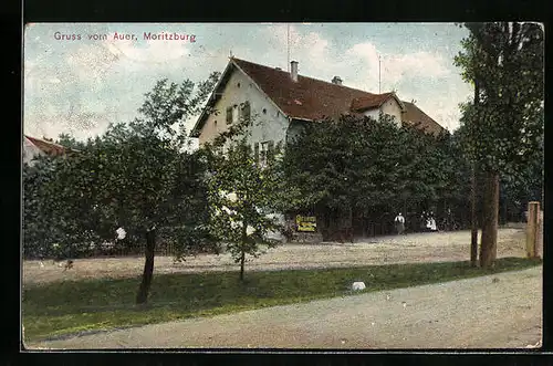 AK Moritzburg, Gruss vom Auer