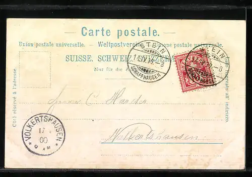 AK Stein a. Rhein, Ortsansicht mit Rheinbrücke