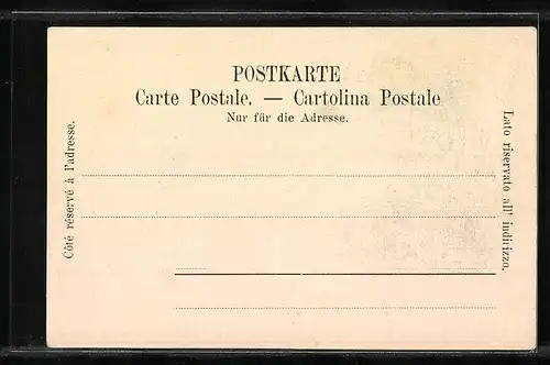 Künstler-AK Neuchatel, Neuchatel depuis le Terter