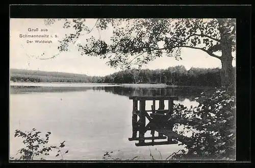 AK Schmannewitz /Sa., Der Waldteich
