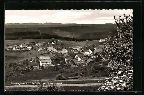 AK Wittlekofen, Totalansicht der Ortschaft