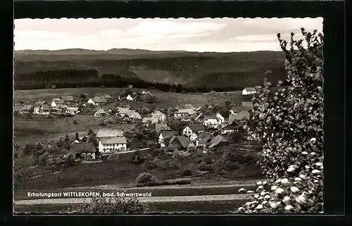 AK Wittlekofen, Teilansicht der Gemeinde