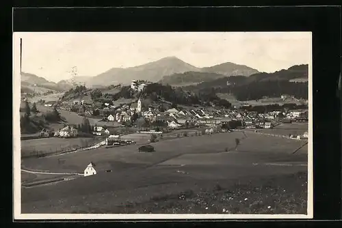 AK Neumarkt, Totalansicht des Ortes