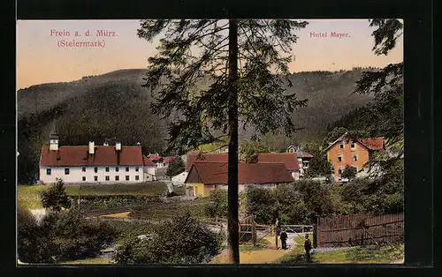 AK Frein a. d. Mürz, Teilansicht mit Hotel Mayer