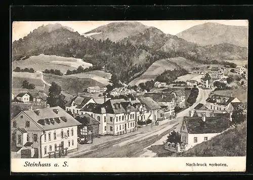 AK Steinhaus a. S., Strassenpartie aus der Vogelschau