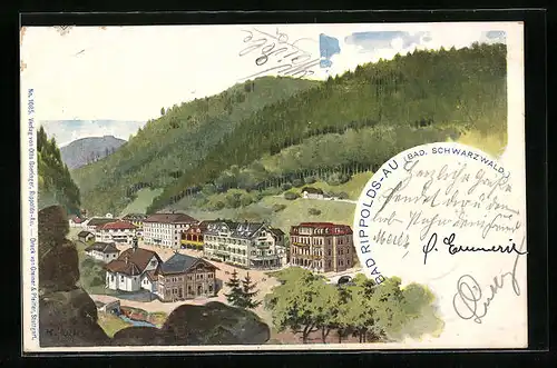 Lithographie Bad Rippoldsau, Ortsansicht aus der Vogelschau