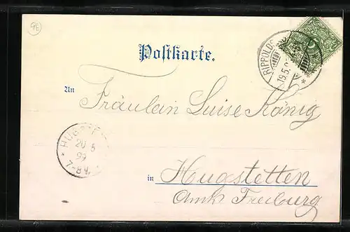 Lithographie Bad Rippoldsau, Ortsansicht aus der Vogelschau